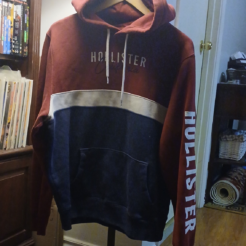 Hollister Blue and Purple Sweatshirt Hoodie